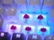 Cherry Xtrfy K5V2 Compact, Transparent White, LEDs RGB, hot-swap, MX2A RGB RED, USB, DE Vorschaubild
