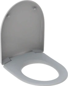 Geberit Renova WC-Sitz, Befestigung von oben, Absenkautomatik, manhattan/glänzend
