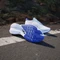 adidas Adizero Boston 12 cloud white/lucid blue/cobalt blue (Damen) Vorschaubild