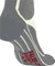 Falke SK4 Advanced Compression Light Skisocken off-white (Damen) Vorschaubild