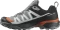 Salomon X Ultra 360 GTX quiet shade/black/spice route (Herren) Vorschaubild