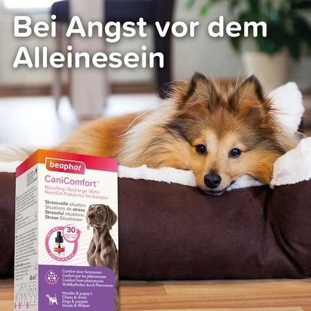 beaphar CaniComfort Nachfüll-Flakon, Pheromon, 48ml