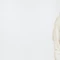 adidas Adicolor Classics Trefoil Hoodie wonder white (Herren) Vorschaubild