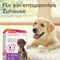 beaphar CaniComfort Starter-Kit, Pheromon, Verdampfer, Bundle Vorschaubild