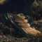 adidas Terrex Skychaser AX5 Gore-Tex trace brown/earth strata/semi impact orange (Damen) Vorschaubild