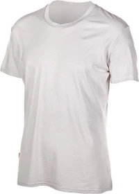 Icebreaker Anatomica Crewe Funktionsshirt kurzarm ivory/white (Herren)