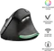 Trust Bayo Wireless Rechargeable Ergonomic Mouse, schwarz/grau, USB Vorschaubild