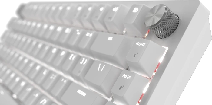 Corsair Gaming K65 Plus Wireless 75% RGB, Frost White, für Mac, MLX RED, USB/Bluetooth, DE