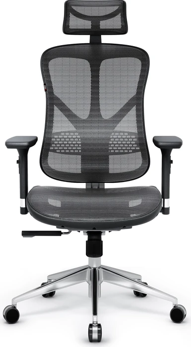 Diablo Chairs V-Basic Ergonomischer Bürostuhl, schwarz/grau