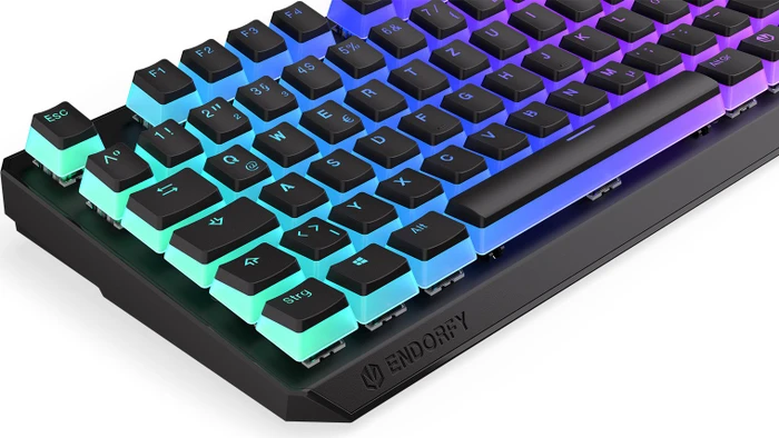 Endorfy Thock TKL Wireless Pudding, PBT, LEDs RGB, hot-swap, Kailh Box BROWN, USB/Bluetooth, DE