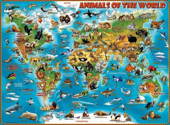 Ravensburger Puzzle Tiere rund um die Welt