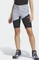 adidas Terrex Xperior Shorts Hose kurz silver violet/black (Damen) Vorschaubild
