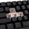 Ducky One 2 Pro Mini, PBT, schwarz, LEDs RGB, MX SILENT RGB RED, USB, DE Vorschaubild