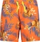 CMP Tropische Fantasie Badeshorts (Herren) Vorschaubild