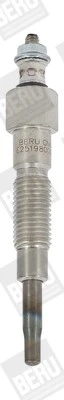 Beru GN075 (0100800038)