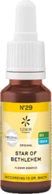 Lemon Bachblüten No.29 Star of Bethlehem Tropfen, 20ml