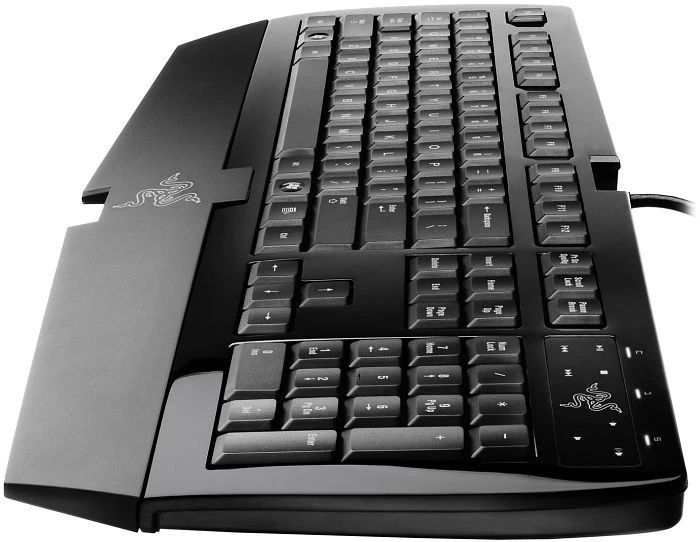 Razer Arctosa silber, USB, DE