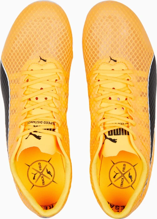 Puma evoSPEED Distance 11 sun stream/puma black/puma silver