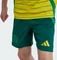 adidas Celtic FC 2024/2025 Auswärtsshorts team dark green (Junior) Vorschaubild