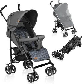 Lionelo Elia graphite