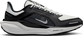 Nike Pegasus 41 Gore-Tex black/anthracite/iron grey/summit white (Damen)
