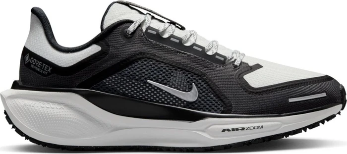 Nike Pegasus 41 Gore-Tex black/anthracite/iron grey/summit white (Damen)