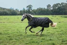 Kerbl Bucas Irish Turnout Light/0 Classic, Regendecke female, 1.25m, 50g, black/gold