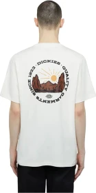 Dickies Canyon T-Shirt kurzarm off white (Herren)