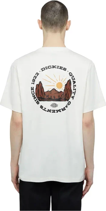 Dickies Canyon T-Shirt kurzarm off white (Herren)