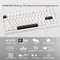 Wobkey Rainy 75 Pro, weiß/silber, LEDs RGB, Kailh Cocoa, USB/Bluetooth, US Vorschaubild