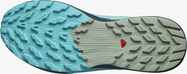 Salomon Sense Ride 5 alfalfa/carbon/peacock blue (Herren)
