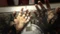 Prey (2017) - Deluxe Edition (PC) Vorschaubild