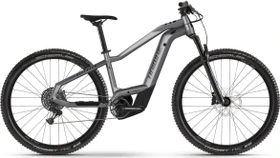 Haibike Alltrack 9 silber/schwarz Modell 2023