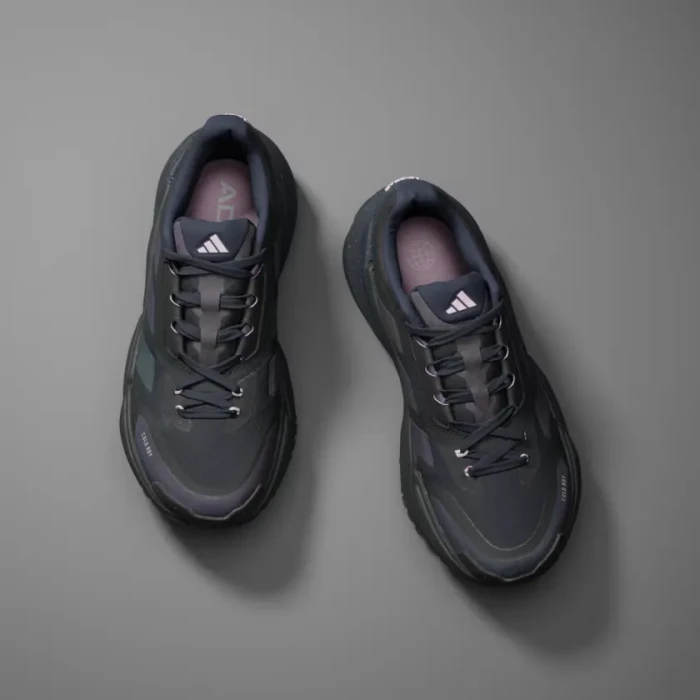 adidas Adistar Cold.RDY core black/orchid fusion (Damen)