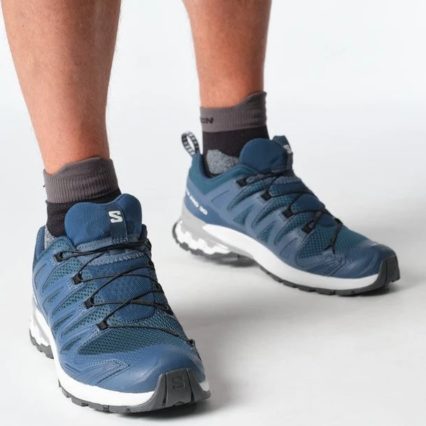 Salomon XA Pro 3D V9 poseidon/icicle/alloy (Herren)
