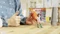 Ravensburger tiptoi Spiel: Spielwelt Einkaufszentrum Vorschaubild