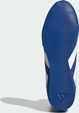 adidas Box Hog 4 royal blue/cloud white/solar purple
