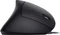 Equip Vertical Ergonomic Wired Mouse schwarz, USB Vorschaubild