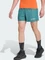 adidas Terrex Multi Hose kurz (Herren) Vorschaubild