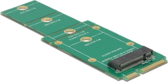 DeLOCK mSATA -> M.2 SATA
