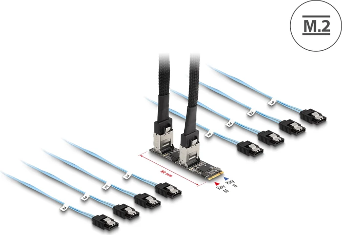 DeLOCK M.2 PCIe -> SATA