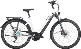 Pegasus Premio Evo 10 Lite 500Wh metallic off white/black matt Modell 2023