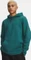 Under Armour Icon Fleece Hoodie rack green (Herren) Vorschaubild