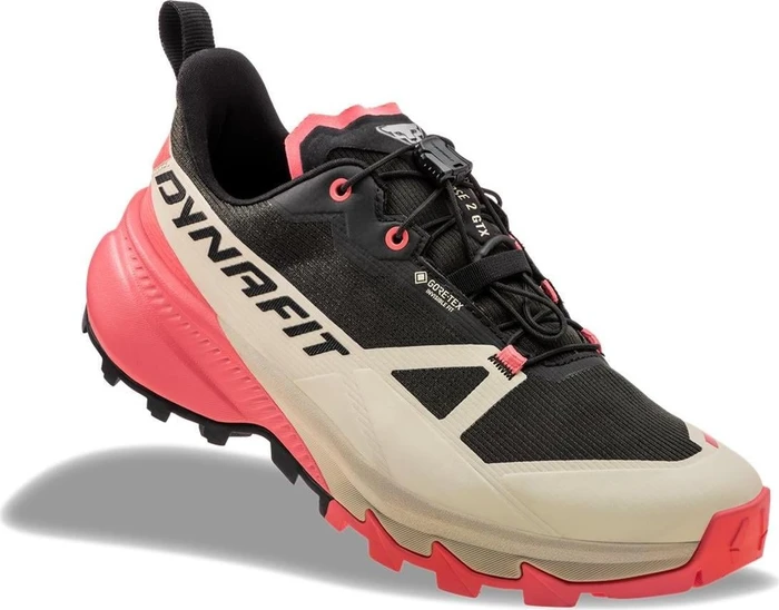 Dynafit Traverse 2 GTX overcast/black out (Damen)