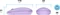 Eternico MSB380 Wireless Office Mouse violett, USB/Bluetooth Vorschaubild
