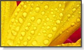 NEC MultiSync ME501 Message Essential, 50"