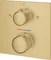 Grohe Allure Thermostat-Brausebatterie mit integrierter 2-Wege-Umstellung cool sunrise gebürstet Vorschaubild
