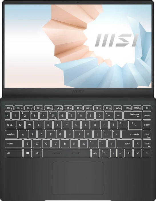 MSI Modern 14 B11M-028, Carbon Gray, Core i7-1165G7, 8GB RAM, 512GB SSD, DE