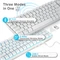 RK Royal Kludge RK96 96% Wireless, LEDs blau, hot-swap, RK BLUE, USB/Bluetooth, US Vorschaubild