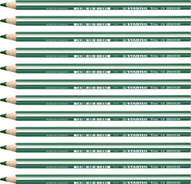 STABILO Trio thick Buntstift grün, Kartonbox, 12er-Pack